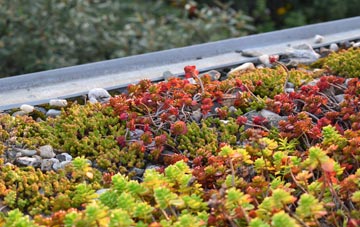 the cost of Balsall Common green roof installation