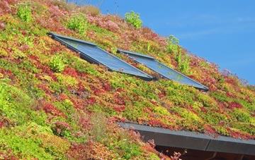 Balsall Common living roof systems